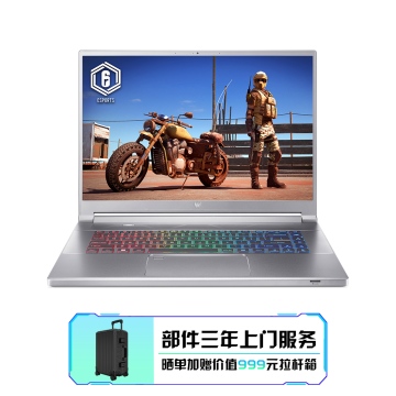 Acer 掠夺者刀锋300 炫薄跨界电竞本 PT316-51S-74HD
